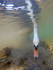 Urban Mute Swan Photography