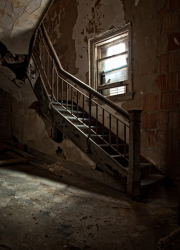 Ellis Island Immigrant Hospital | Serpentine