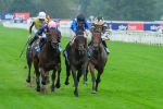 080925-Race 5-Elmonjed-9414