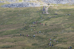 Ingleborough-590