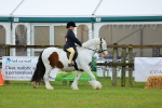 SBM_00848