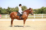 SBM_004140