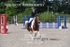 BPP_4124
