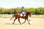 SBM_000164