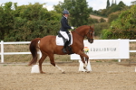 SBM_011859