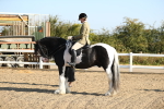 SBM_01164