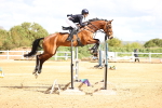 SBM_004434