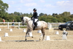 SBM_013934