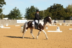 SBM_16455