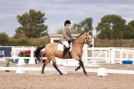 SBM_06330