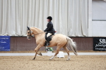 SBM_001710