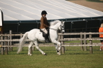 SBM_09694