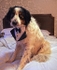 Frodo all suited and booted