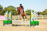 SBM_006498