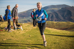 Sale Fell-509