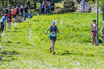 The Finish-541
