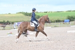 BPP_7535