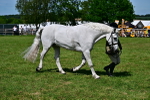 SBM_08085