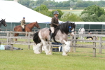SBM_17650