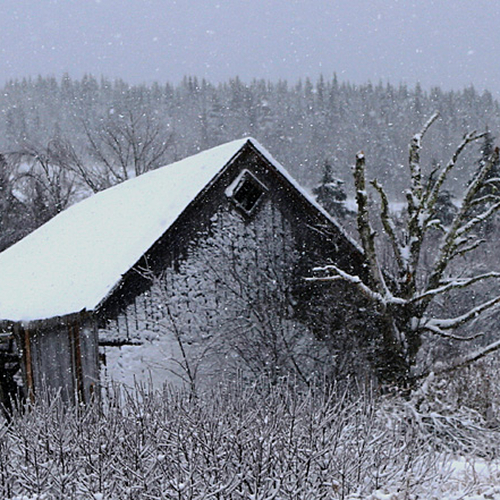 A century barn in winter