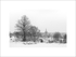 "Mousehold Heath"