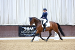 SBM_003908