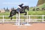 BPP_2284