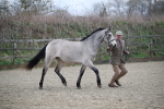 SBM_003968