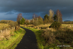A Winter walk at the Ecos