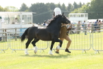 SBM_02095