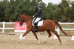 SBM_011999