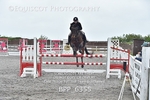 BPP_6355