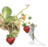 Strawberry thief