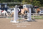 BPP_4314