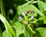 20110730-IMG_6182