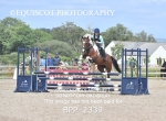 BPP_2339