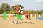 SBM_007902