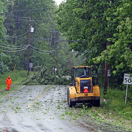 A tree entangled in hydro wires shut down Rothesay road near College Hill for several hours. A makeshift sign on the…
