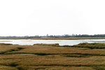Pagham & Selsey - 04