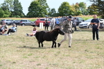 WJ6_7022