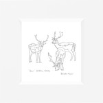 Deer - Holkham