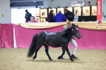 SBM_19616