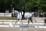 364-ERIN-Andrew_Nicholson-WEDTrotUp+DR portfolio
