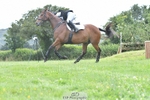221-Jessica_Coombes-SHL_ANAKIN portfolio