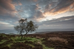 Eyam Moor, Peak District
