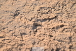 240224A-101114-03151