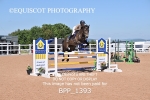 BPP_1393