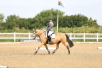 SBM_000277