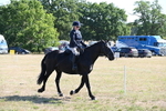 WJ6_7461