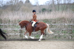 SBM_007248